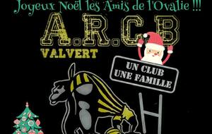 NOS MEILLEURS VOEUX SPORTIFS ET RUGBYSTIQUES POUR L'ANNEE 2017