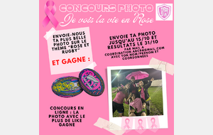 Concours Octobre Rose