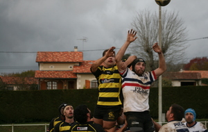 5a6b3371495cf_IMG8095.JPG