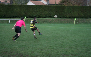 5a6b339f9ae7b_IMG8098.JPG