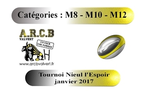 Tournoi Nieul M8 M10 M12 janvier 2017