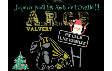 NOS MEILLEURS VOEUX SPORTIFS ET RUGBYSTIQUES POUR L'ANNEE 2017